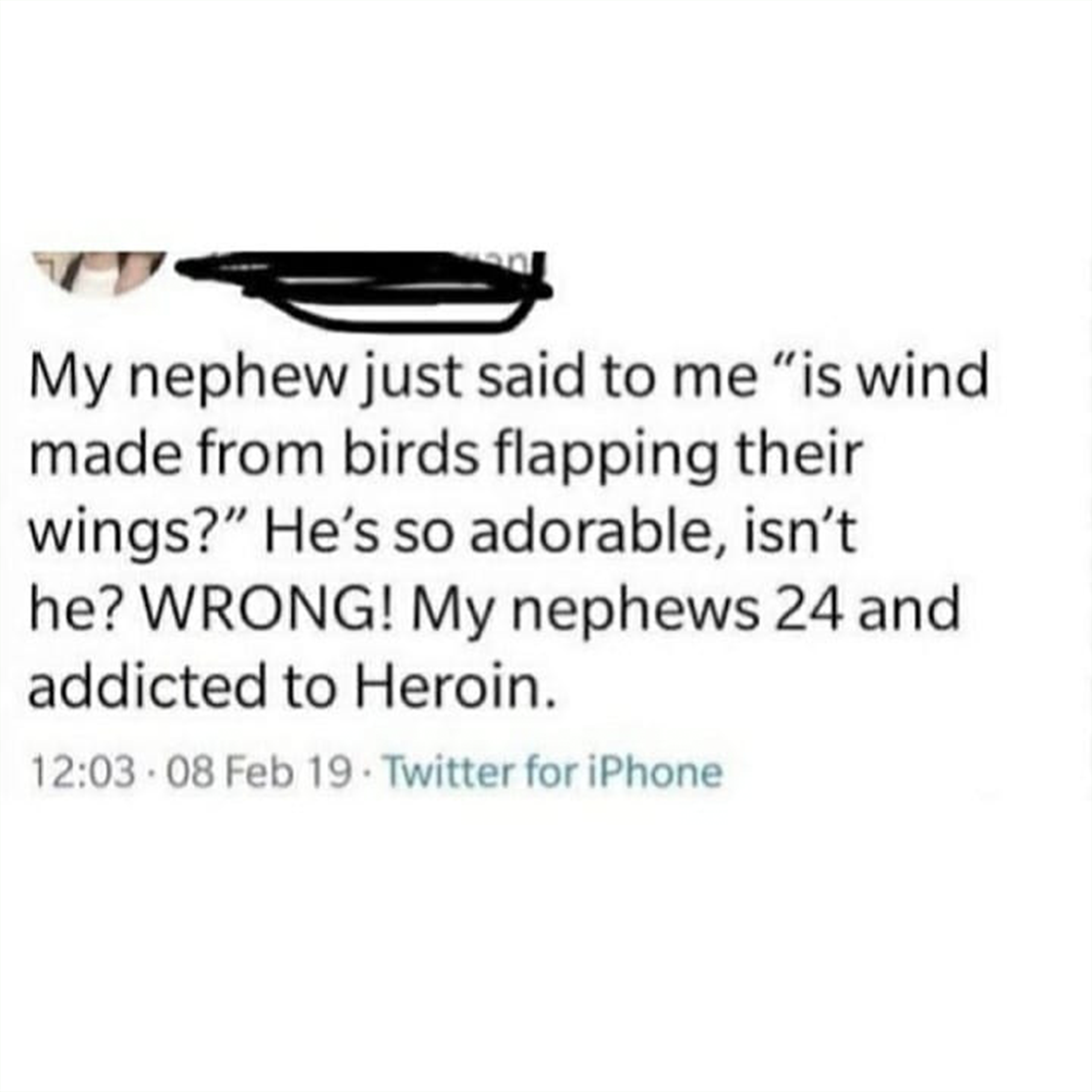 My nephew just said to me, "Is wind made from birds flapping their wings?" He's so adorable, isn't he? WRONG! My nephew's 24 and addicted to heroin.